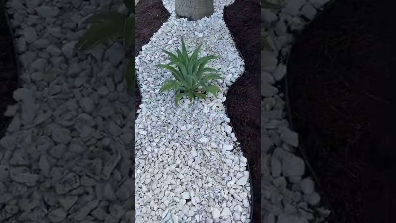 Residential Landscape Bed Design/Installation🦚 #landscapedesign #miami #landscaping #design