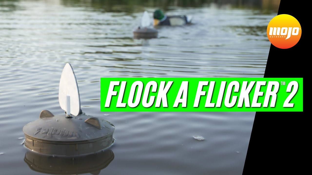MOJO&reg; Flock A Flicker&trade; 2 Overview