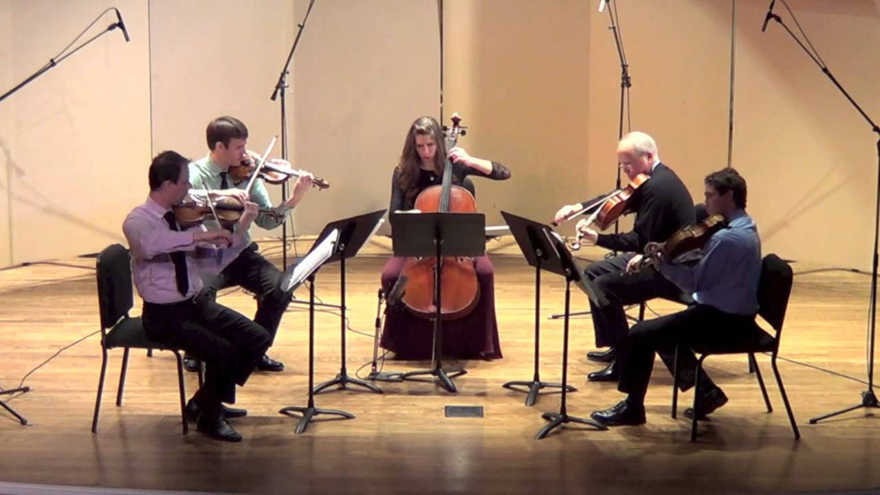 W.A. Mozart - String Quintet in G Minor, K. 516 - III. Adagio ma non troppo (Kontras Quartet)