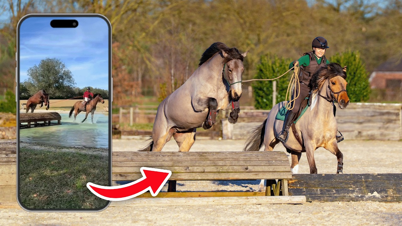 I saw an eventing rider do this and had to try it with my horses!
