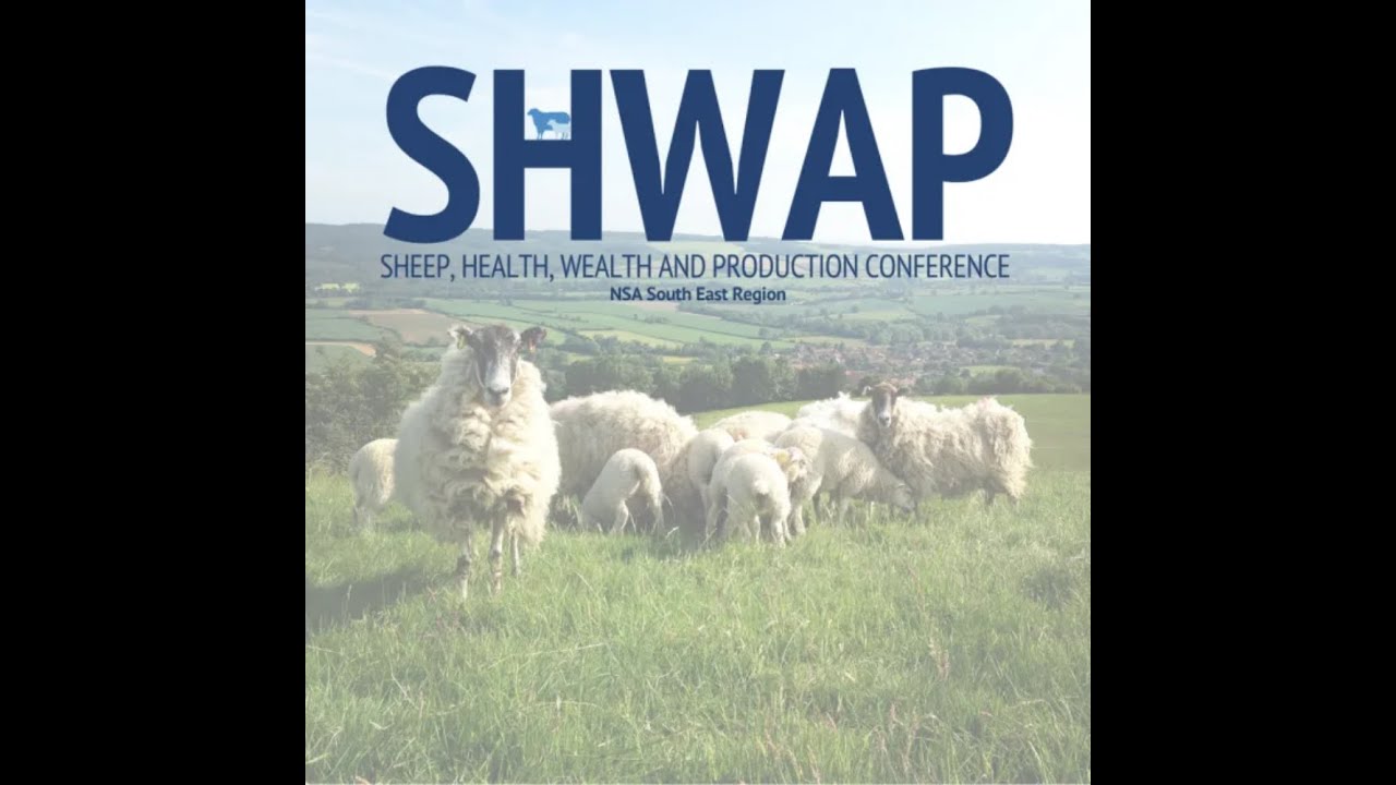 The third evening on SHWAP 2025