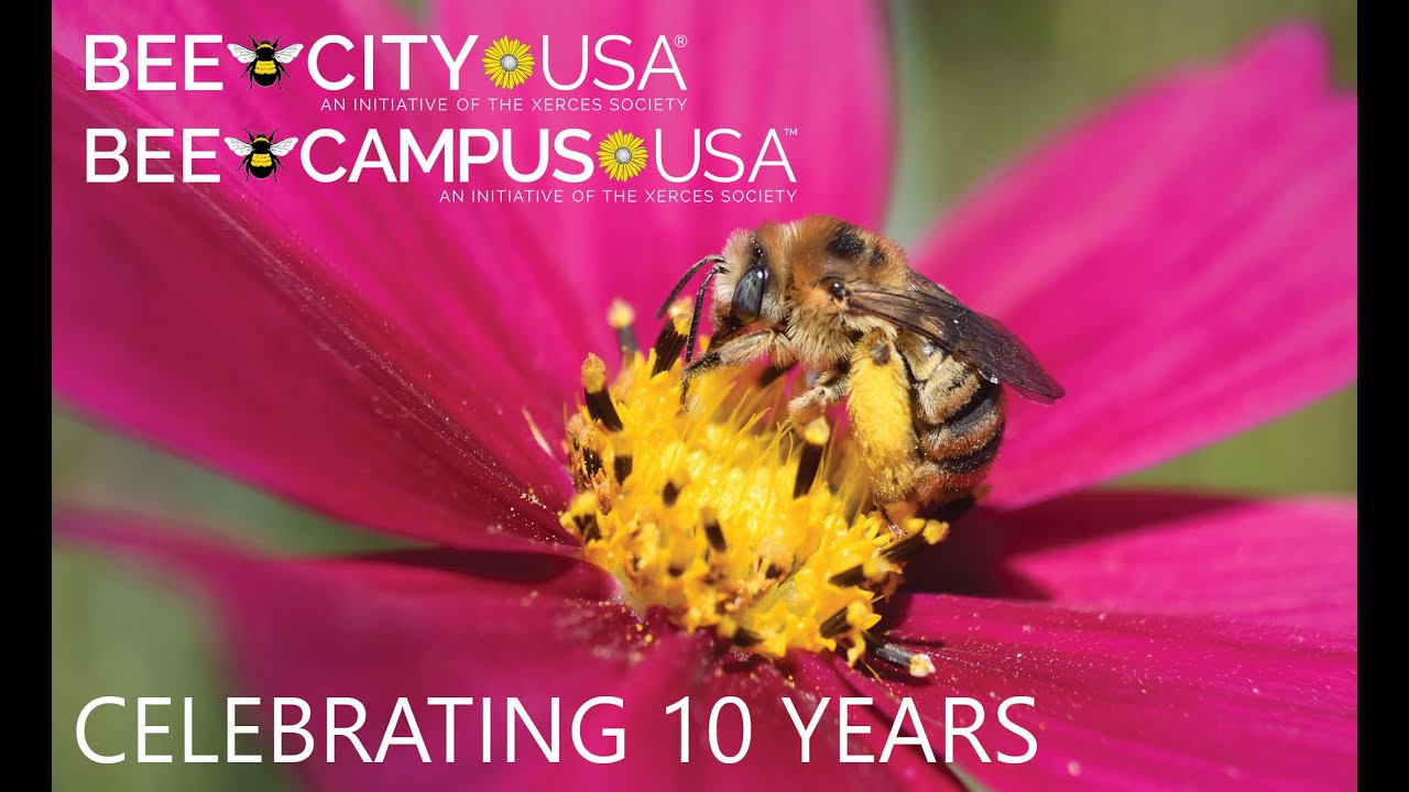 10th Anniversary of Bee City USA and Bee Campus USA