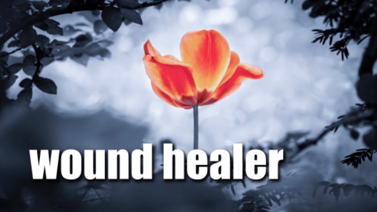 wound healer (morphic field)