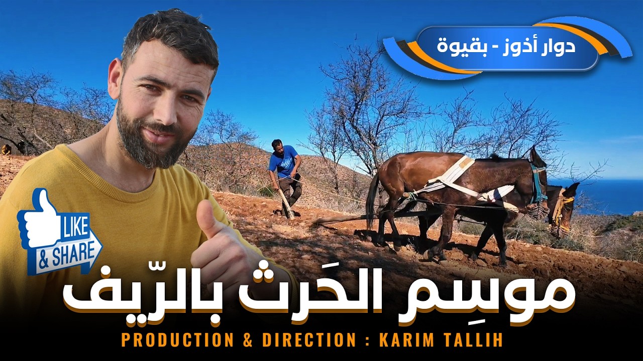 موسم الحرث بالريف - دوار أدوز قبيلة بقيوة شمال المغرب