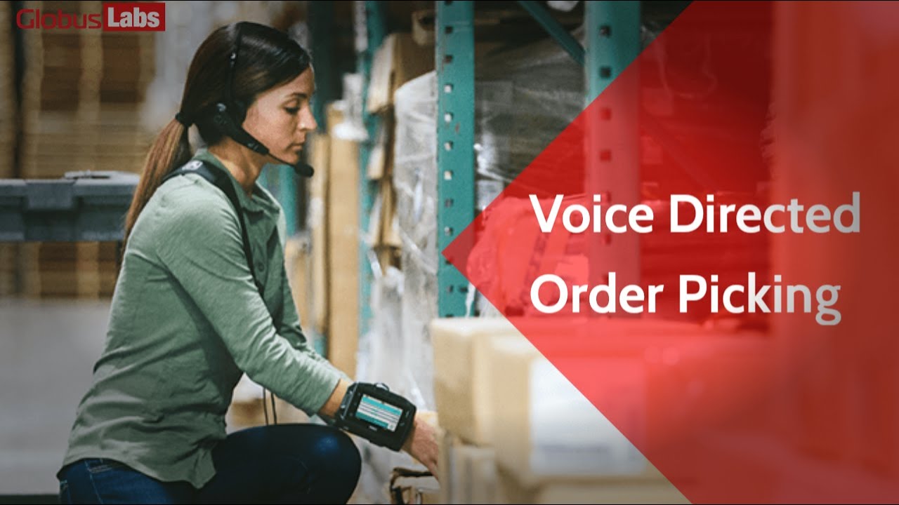 Voice directed order picking demo | Velocity | Speakeasy | Globus Labs