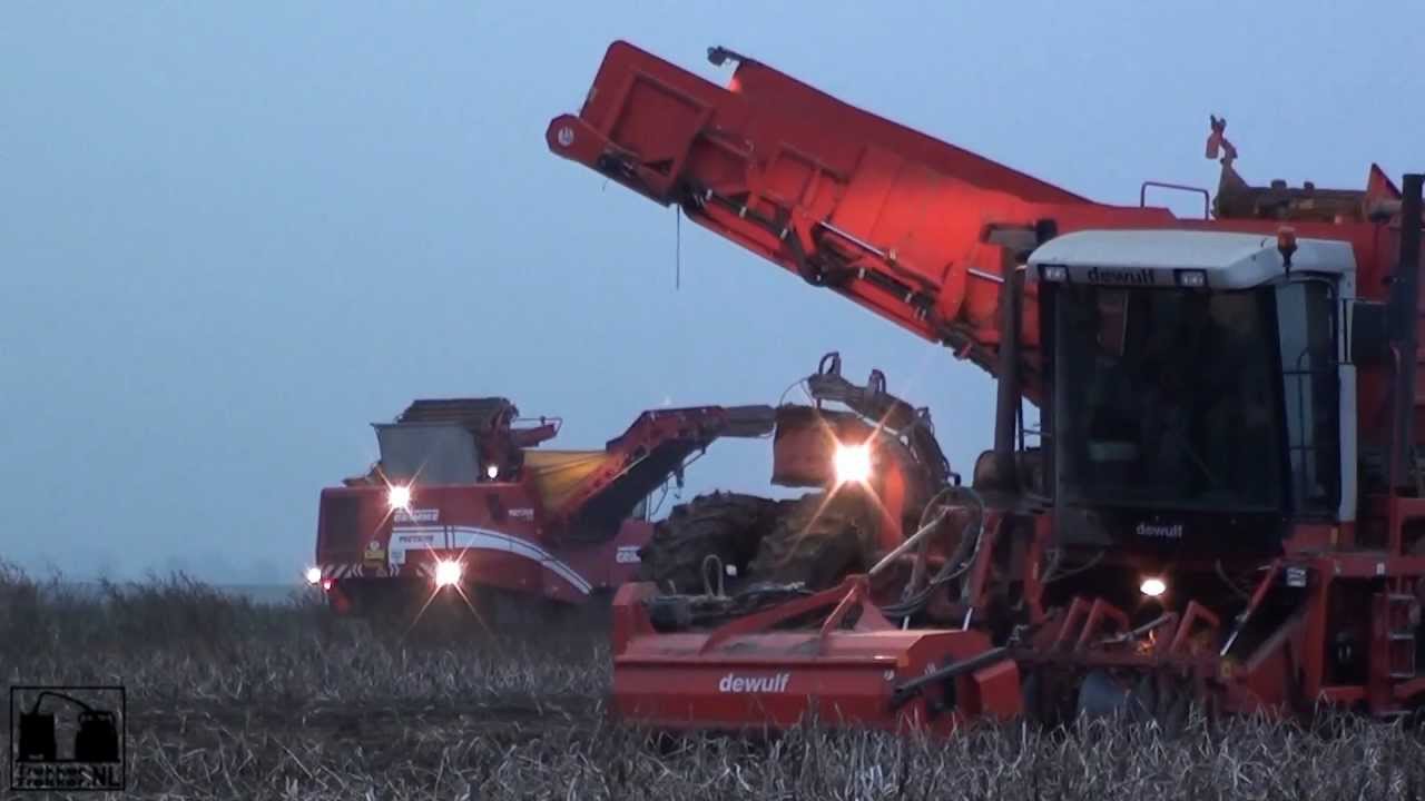 www.trekkertrekker.nl - Potato harvest with 3 harvesters !! Grimme Tectron 415 / 410 / DeWulf RA3060