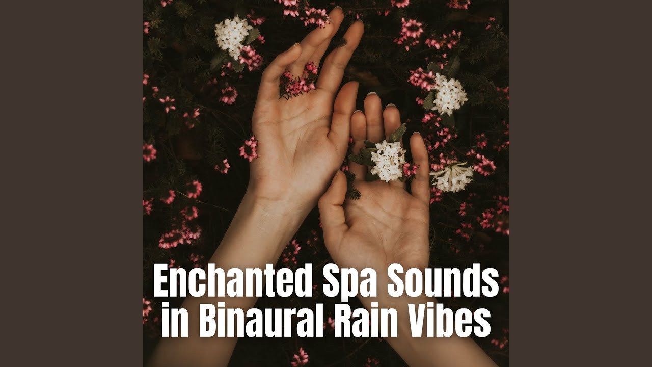 Rainforest Experience