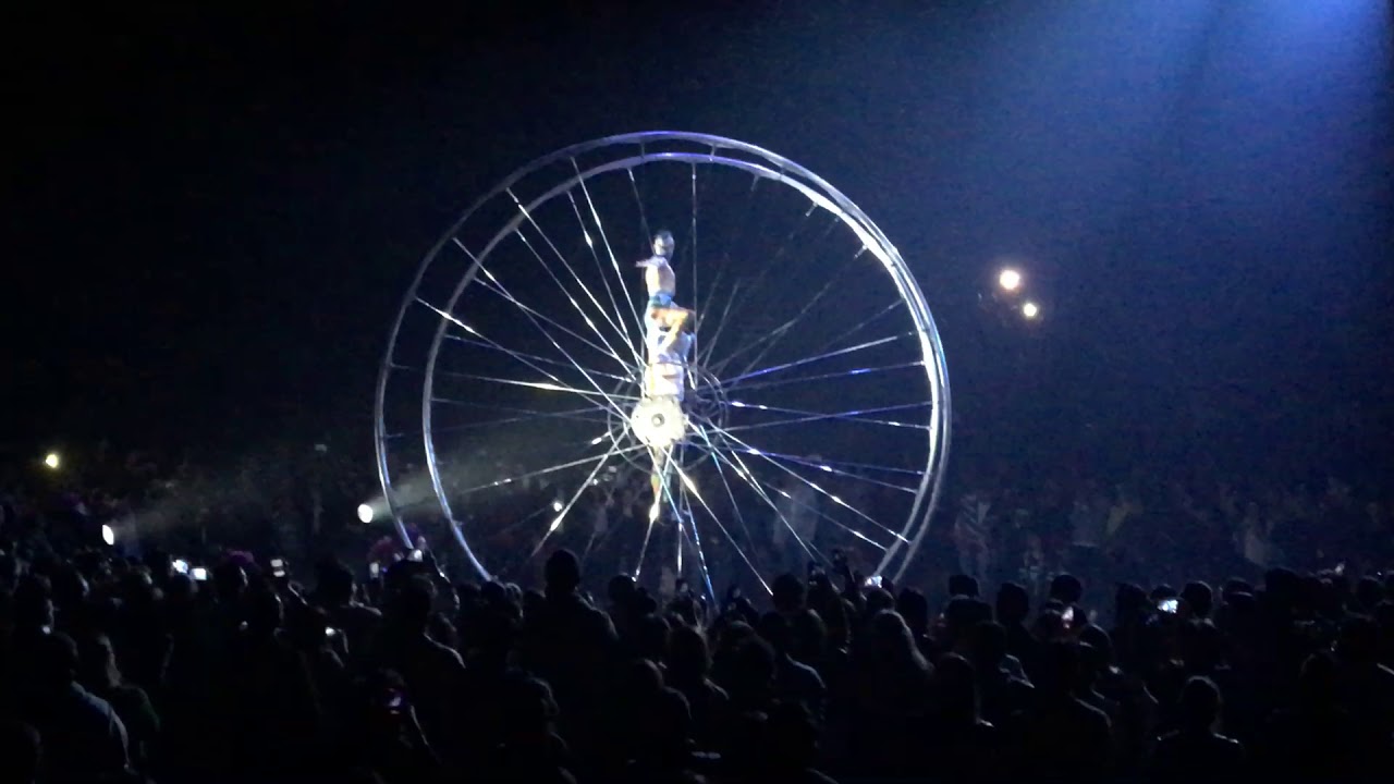 Séptimo Día Soda Stereo. Signos. Cirque Du Soleil.