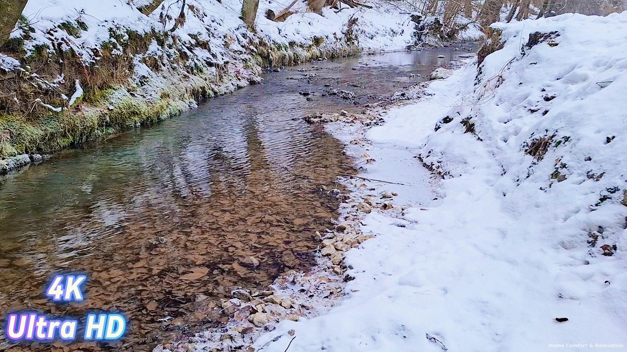 River Sounds 8 Hours • Deep Focus & Study Ambience • 4K Relaxing Stream