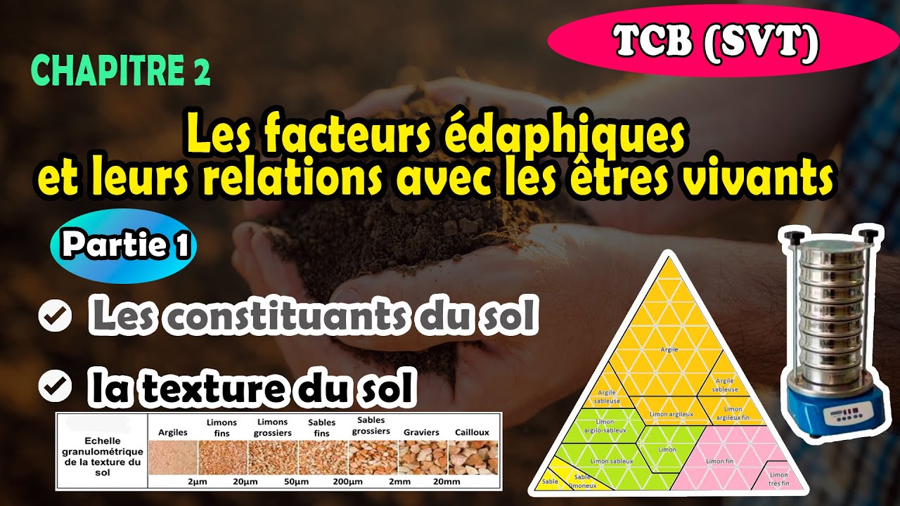TC SVT | Chapitre 2: Les Facteurs édaphiques| Les constituants du sol & La texture du sol + exercice