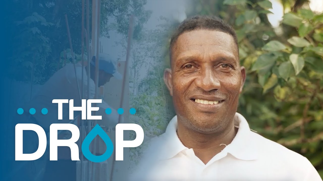 The Drop: Lingo