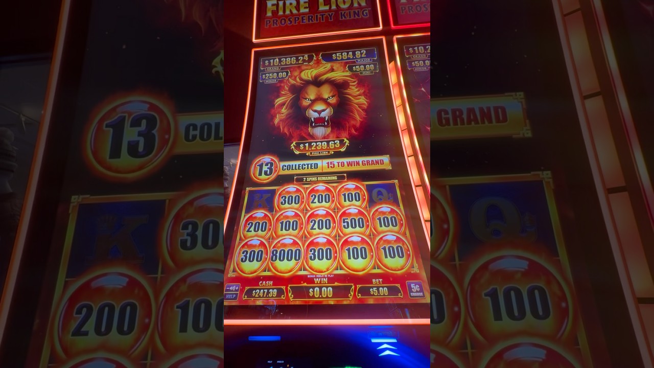Massive Win $5 bet #winstarcasino #slot #winstar #massivewin #win #slotmachine