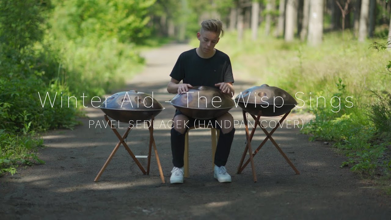 THE WISP SINGS  | Handpan cover | Pavel Sedlacek | 4K