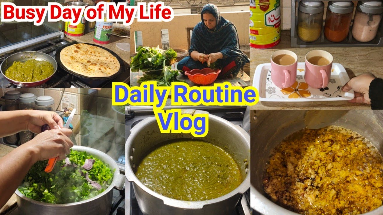 Saare Kaam aaj hi | How to make Sarson ka Saag Recipe| Busy Day Daily Routine Vlog| Sonia Vlogs