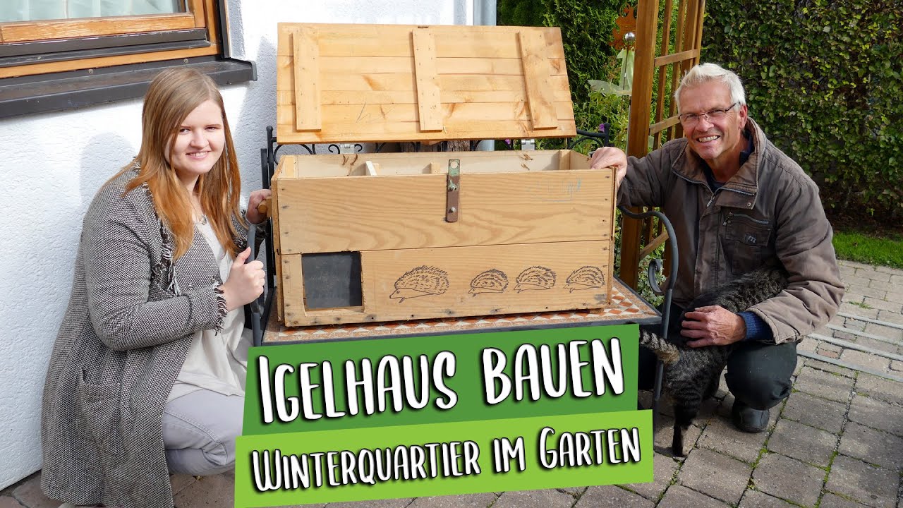 Igelhaus selbst bauen | Winterquartier für den Igel | Balkon Garten Tiere