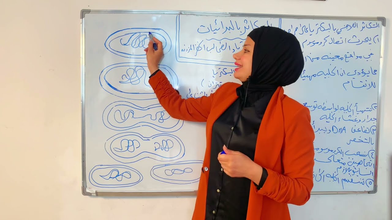 احياء السادس علمي الفصل الثالث التكاثر اللاجنسي بالبكتريا المحاضرة 6