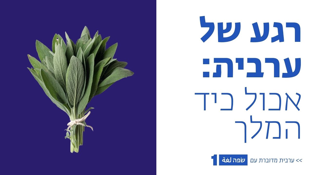 רגע של ערבית - אכול כיד המלך