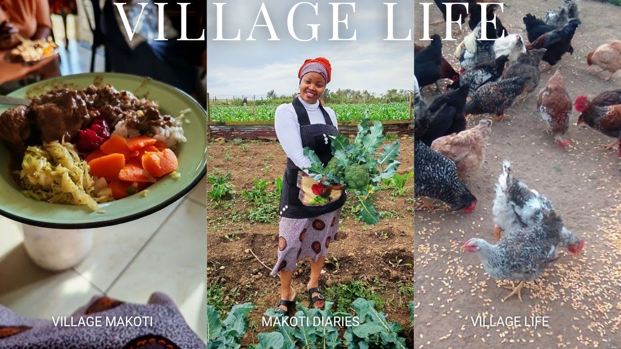Village life | Xhosa makoti duties  |Slow living #makoti
