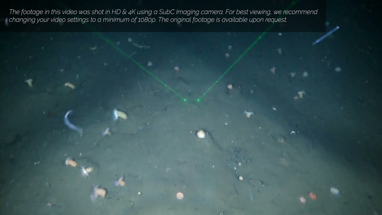 Tow Camera System Sample Footage