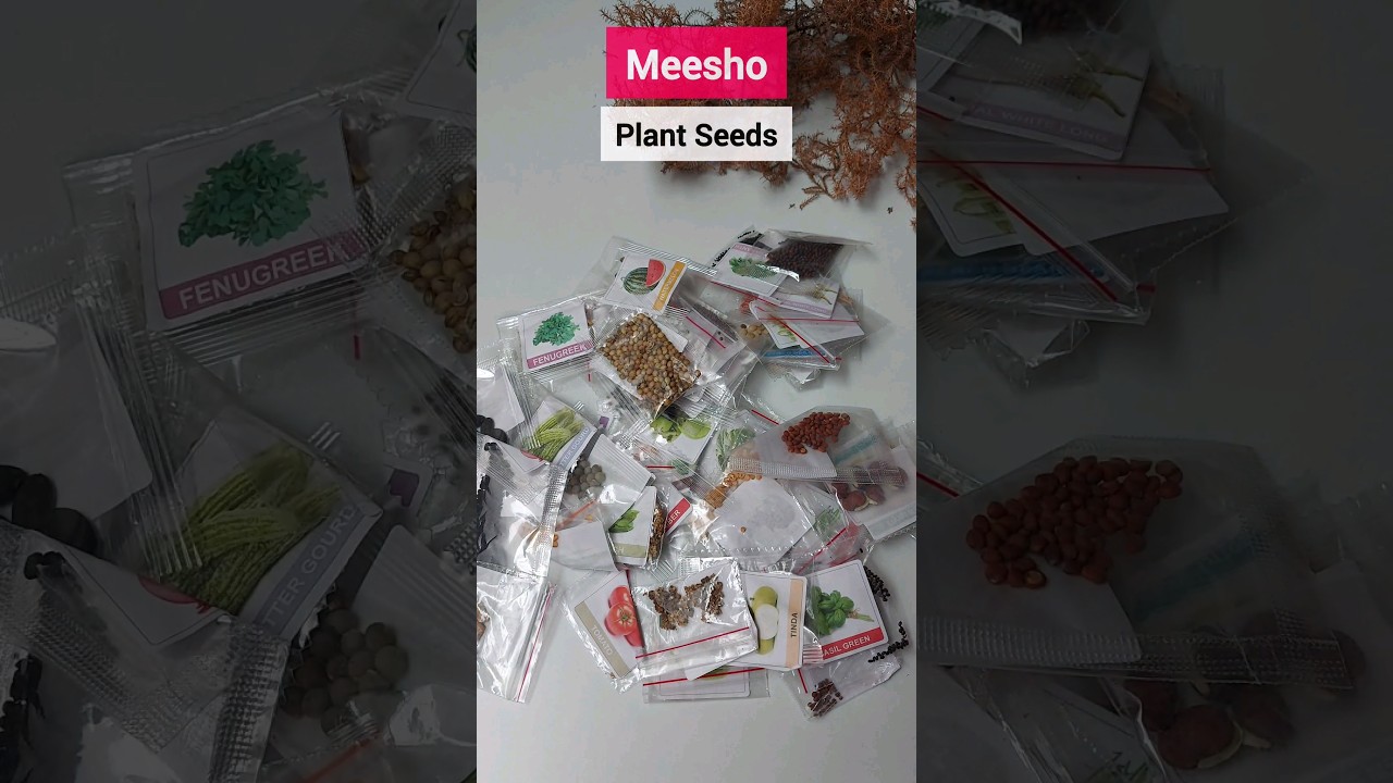 Meesho Plant Seeds under 100 😱 Plants and Vegetables Seed pack of 50 #meesho #meeshohaul