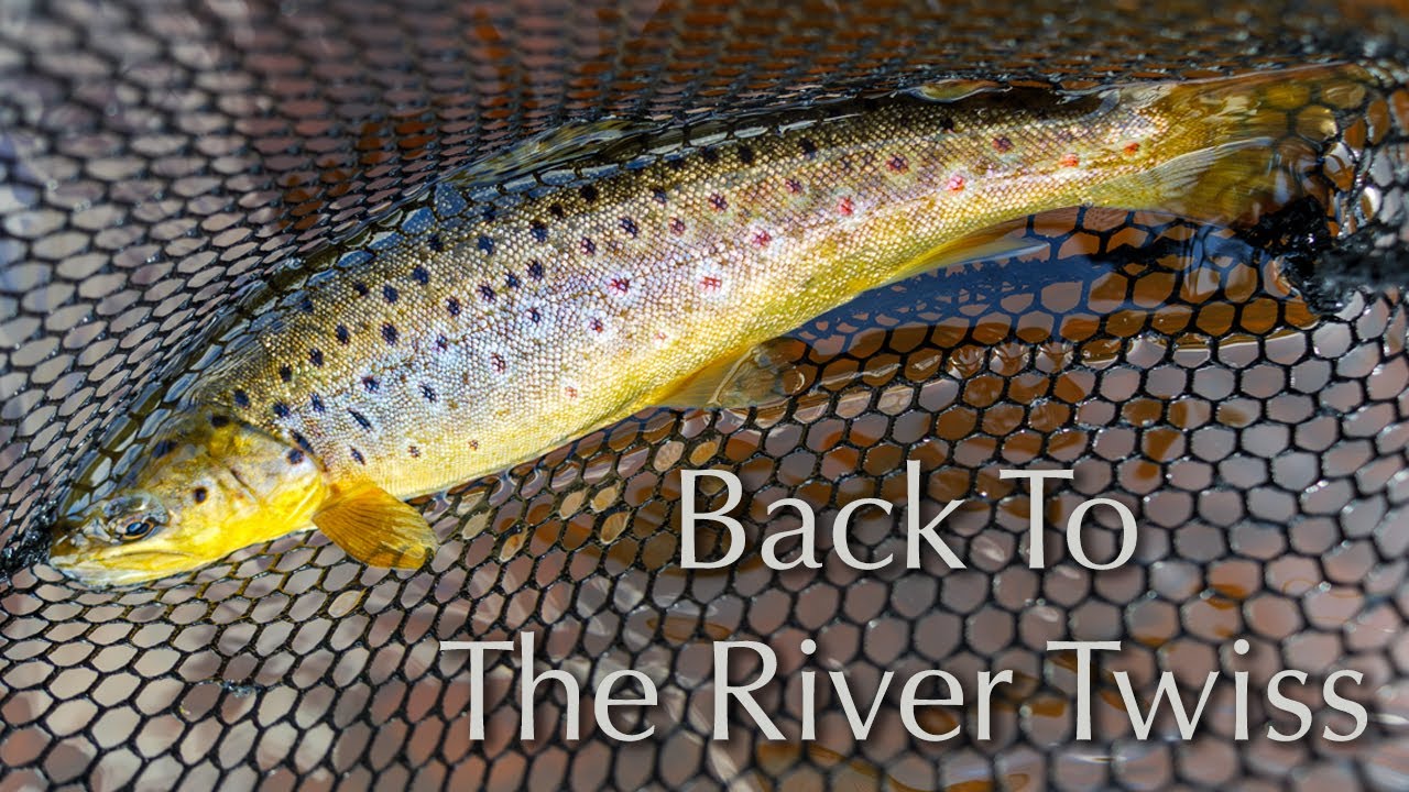 Dry Fly Fishing In The Yorkshire Dales