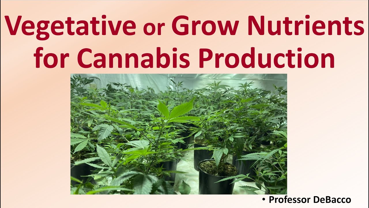 Vegetative or Grow Nutrients for Cannabis Production