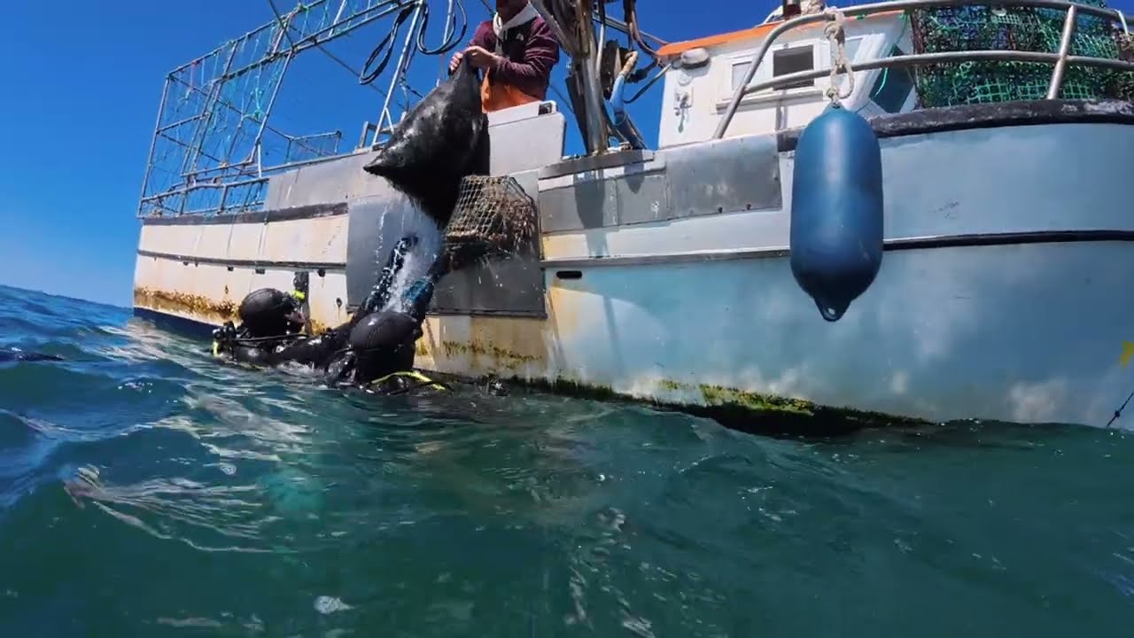 ocean cleanup 2025
