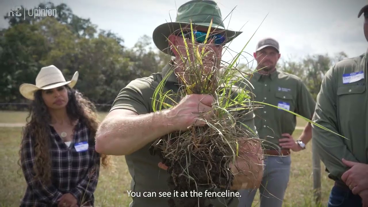 Beef prices are soaring. Regenerative grazing is helping Texas ranchers cash in | Opinion