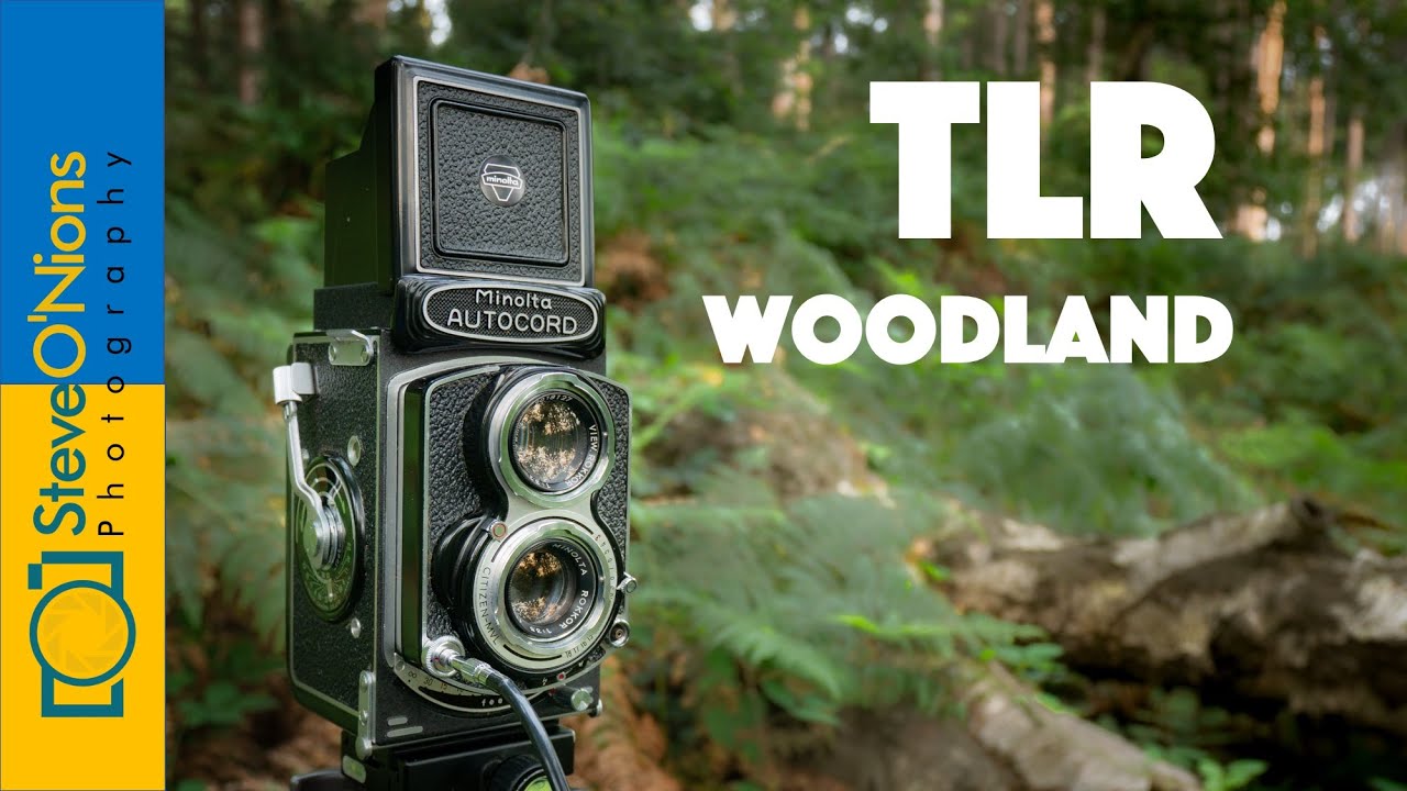 Film photography with a Minolta Autocord