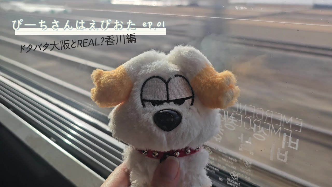 [韓国の８号車&スワックvlog/한국8호차&스와끄 vlog]　大阪,香川,徳島を一編に?！ドタバタとREAL?してきました✨️ 오사카, 카가와, 도쿠시마를 한번에?!(원앤&초특급 투어)