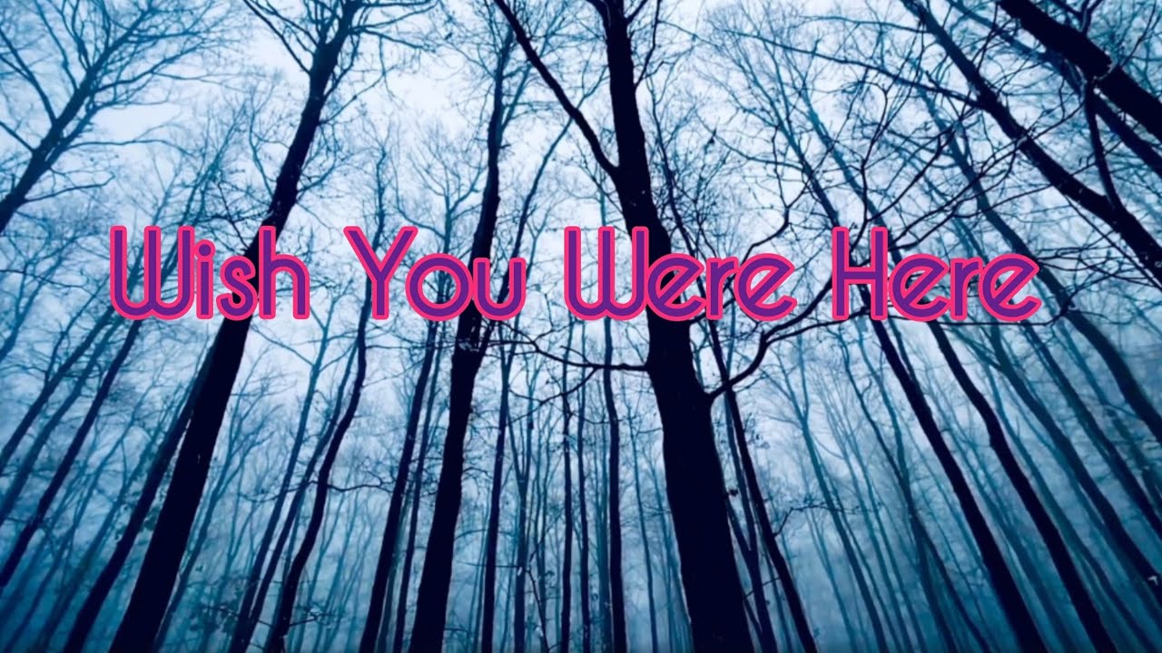ROGER WATERS & ERIC CLAPTON ( Guitar )  - Wish You Were Here / Music Video 🎧