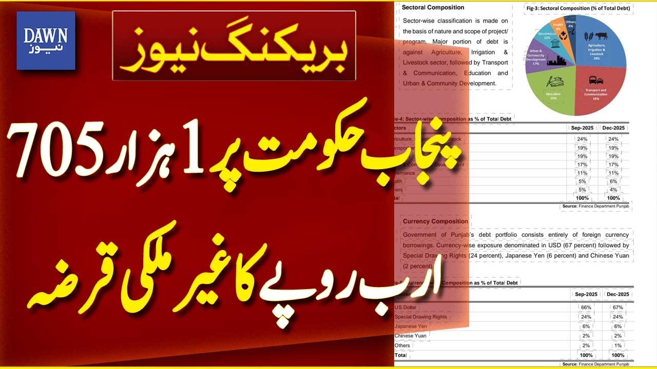 Punjab Government’s Foreign Debt Hits Rs 1,705 Billion | Breaking News | Dawn News