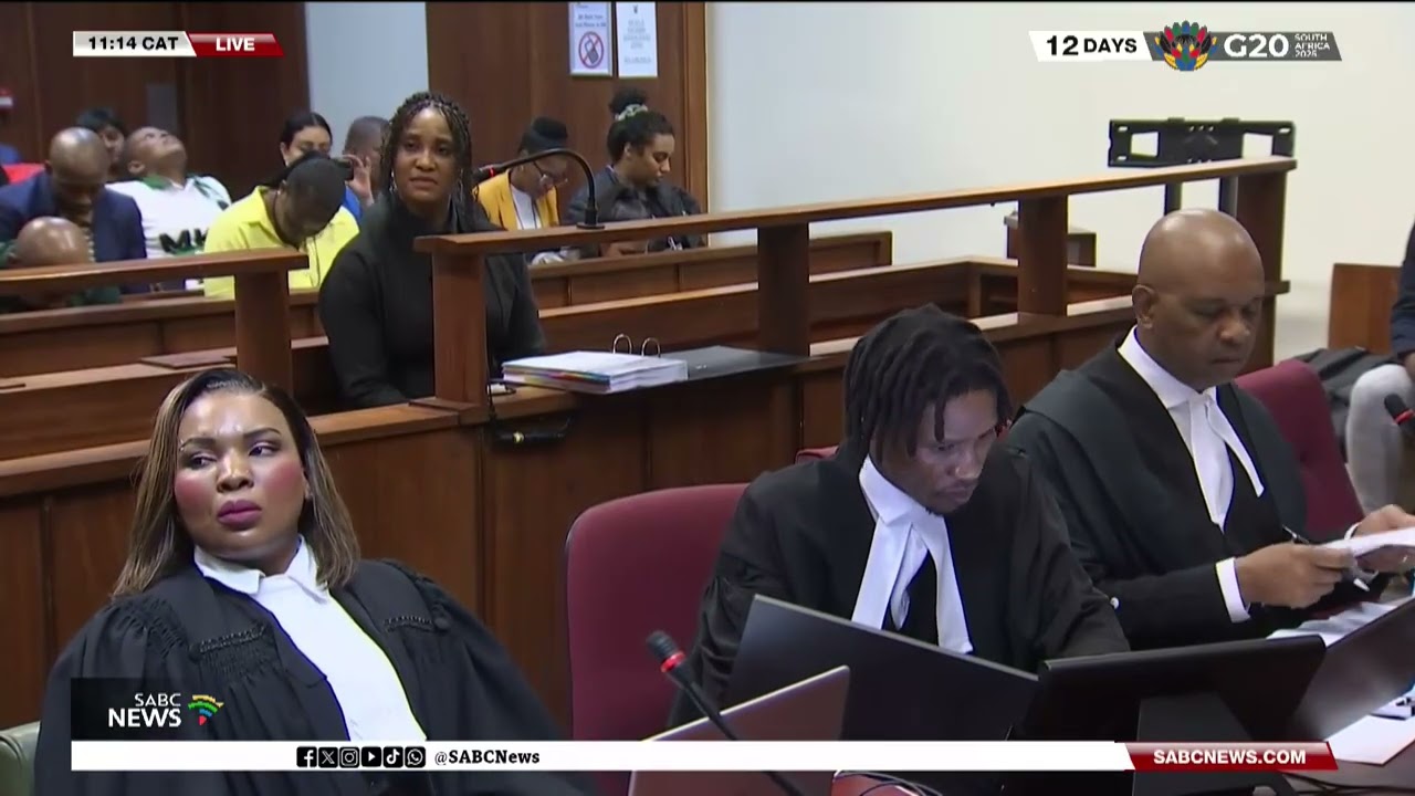 Duduzile Zuma-Sambudla trial underway at the Durban High Court