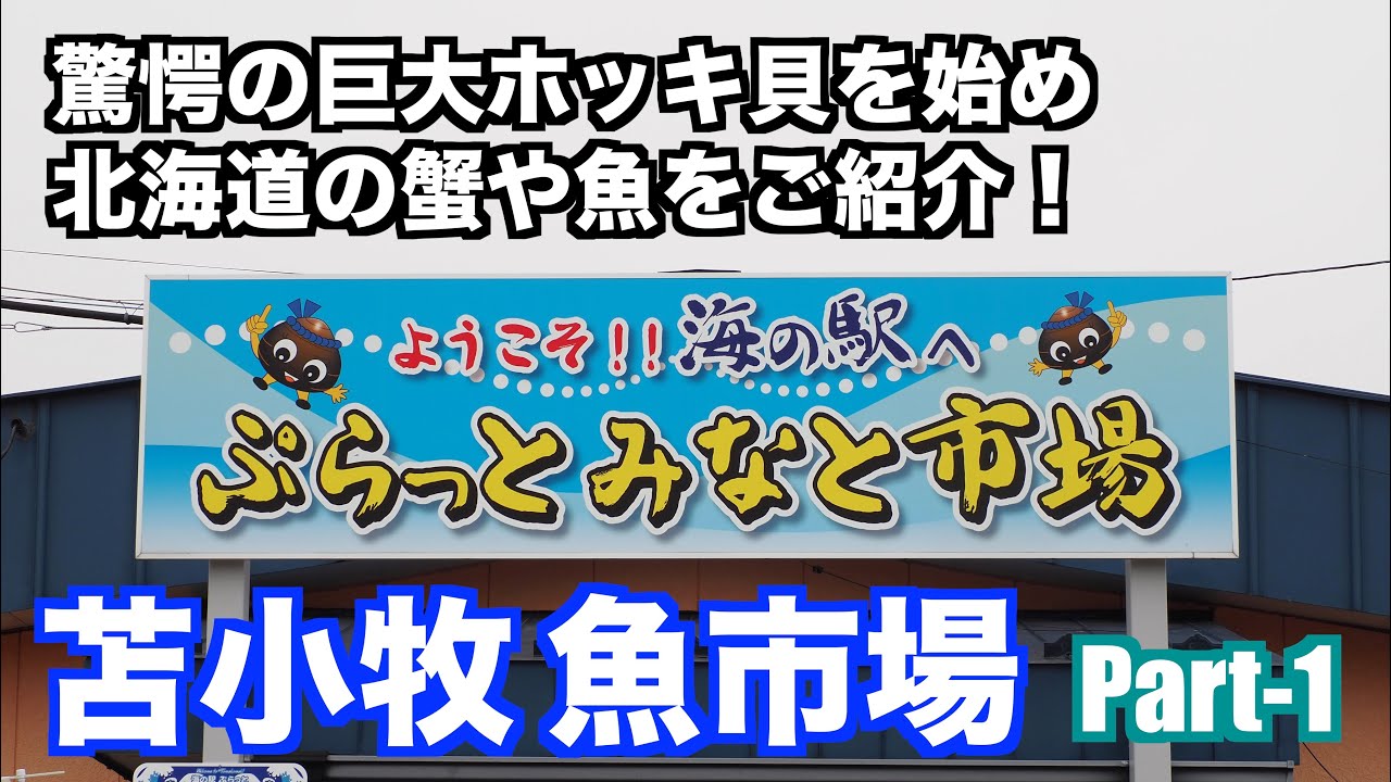 【驚愕の巨大ホッキ貝 苫小牧魚市場 Part1】あばお 海鮮ちゃんねる #55 海の駅 ぷらっと みなと市場