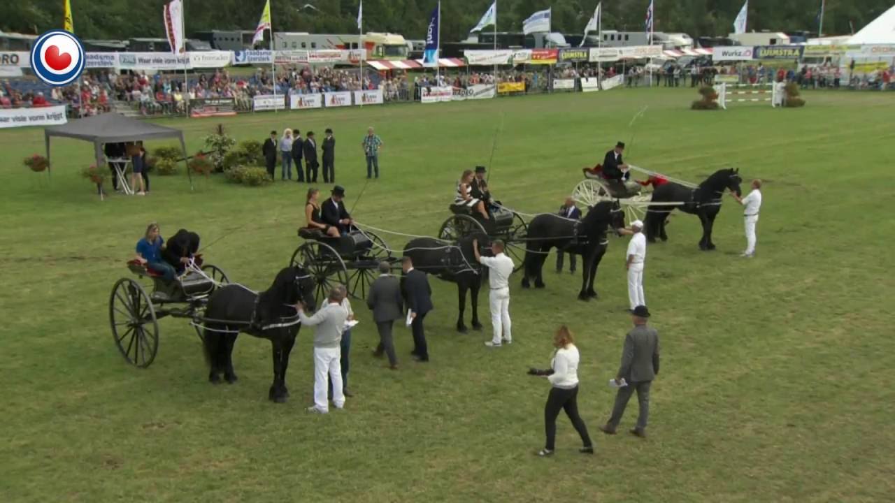 Opschudding bij concours Drogeham, Chardon wint met Eise