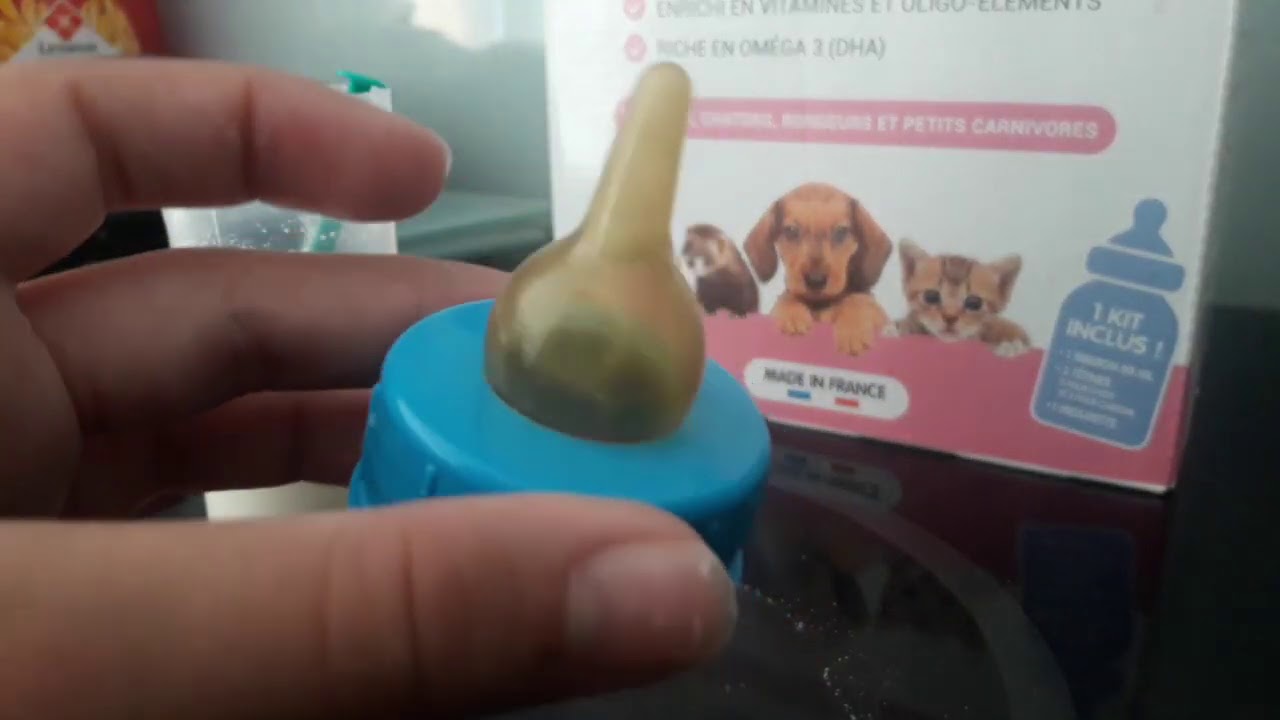 Je vous montre comment je fais le biberon du chaton