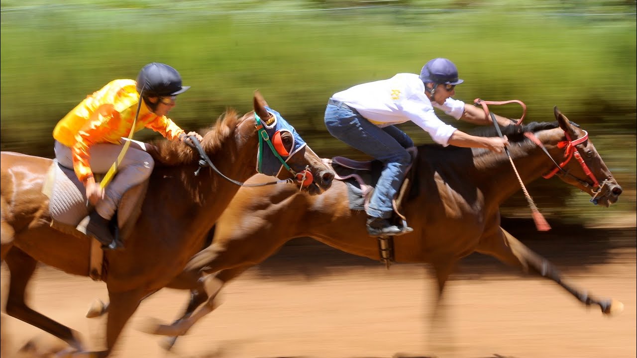 Competicion de carreras de caballos en la Laguna de Valleseco.