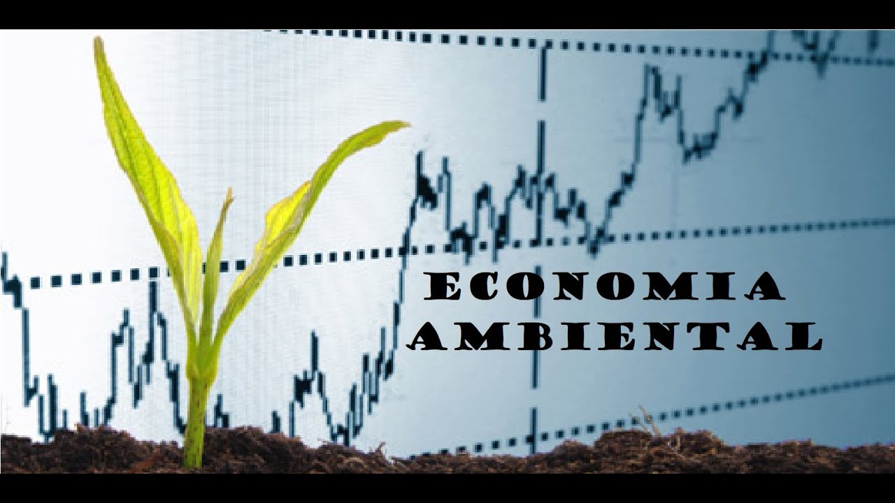 Economia Ambiental - Aula 22