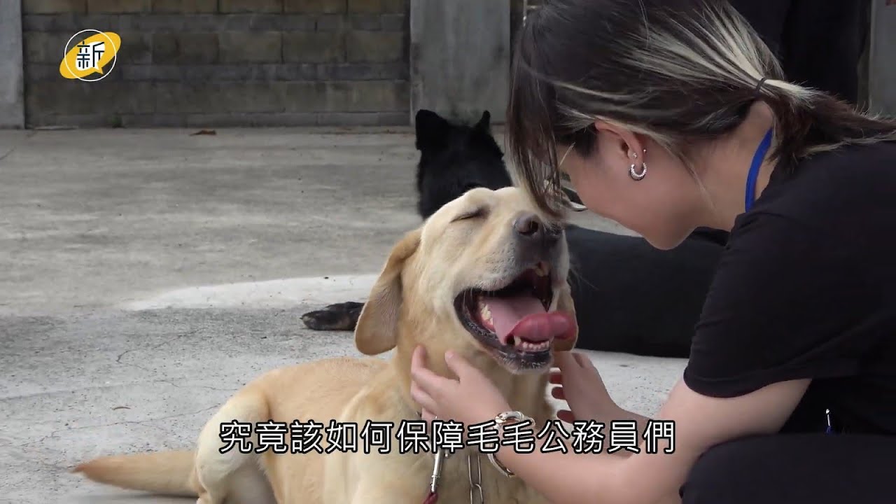 瓦礫堆間赤腳英雄的遲暮