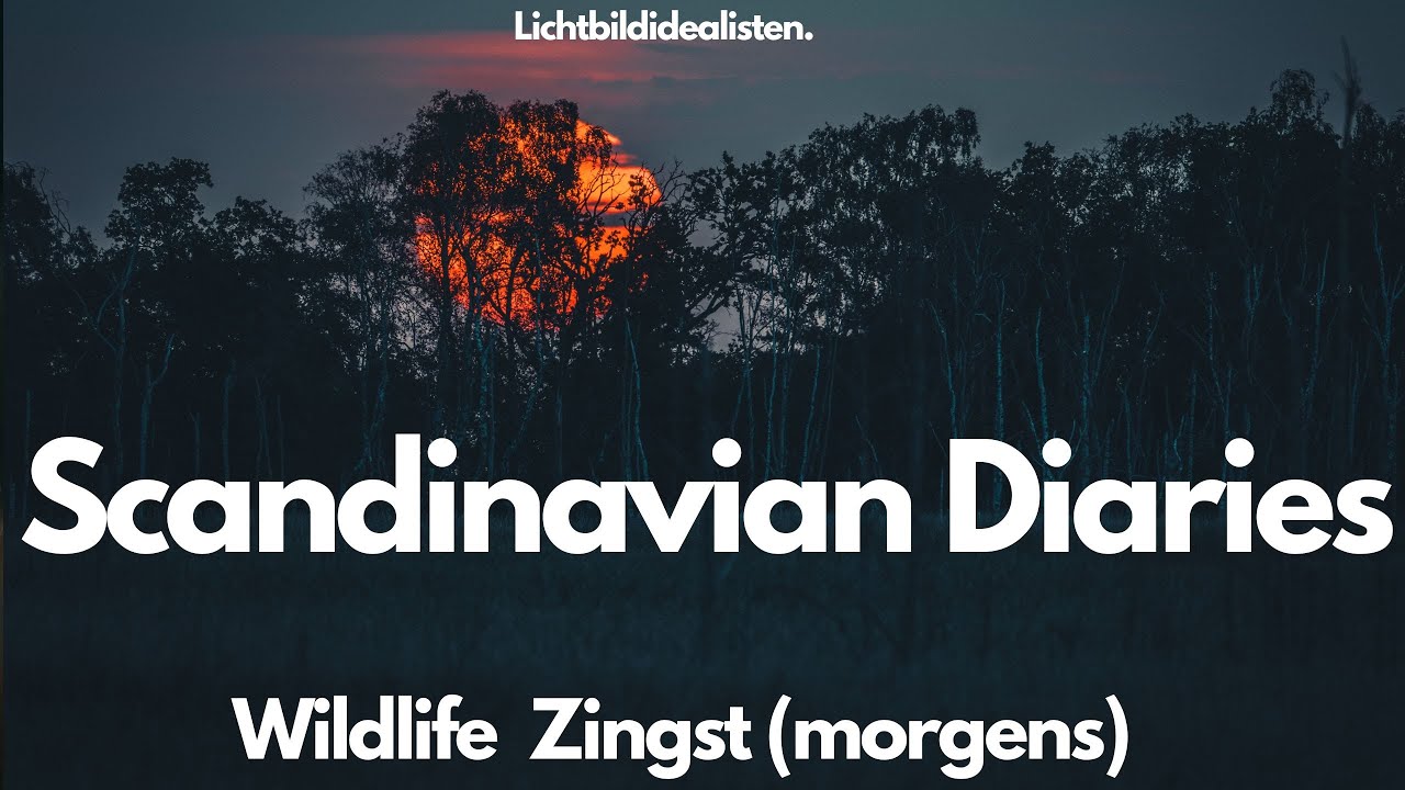 Wildlife Zingst (morgens)  - Scandinavian Diaries 3 - mit  @MarkusFahs-lichtformfarbe