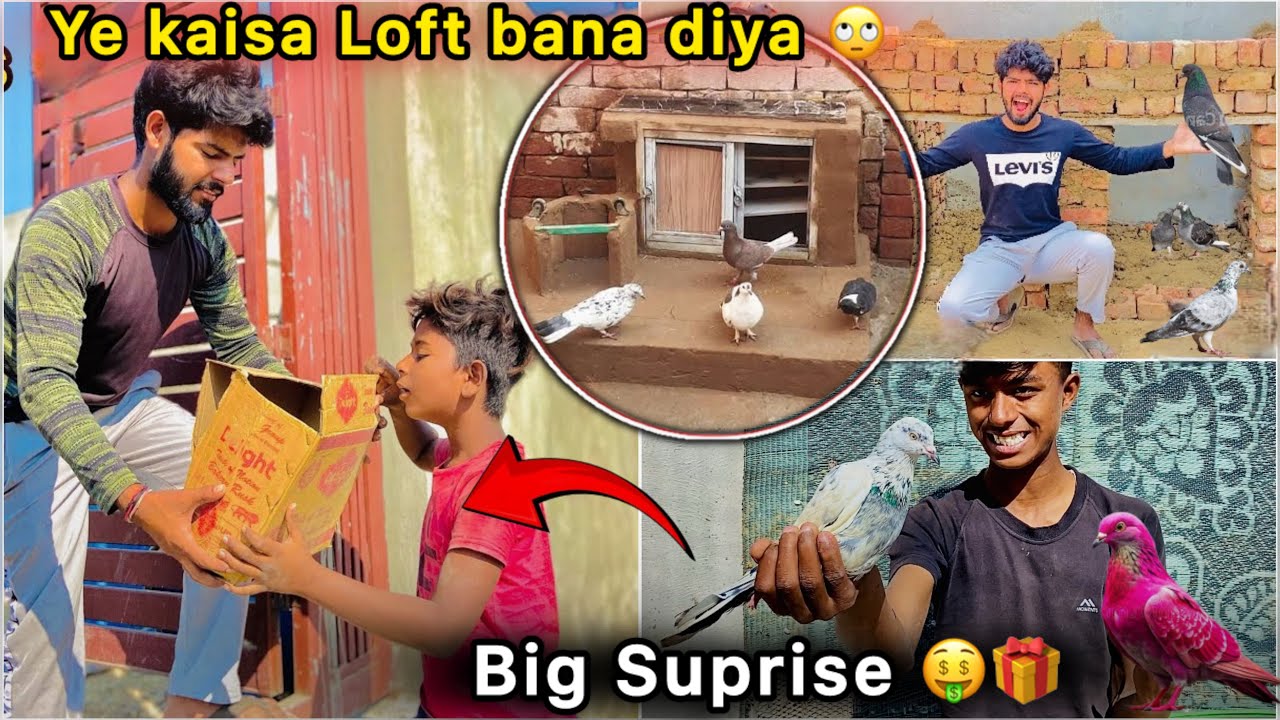 Plot pr Two Big Suprise Ready Hogye 🤑 || Raftar ki Partner Aagyi 🕊️ || Pigeon New Loft 🏡