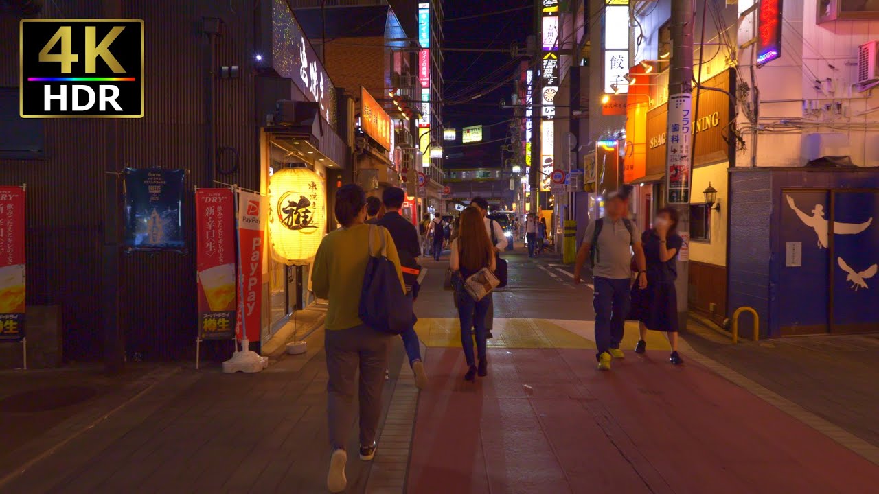 Take a walk around Funabashi at night