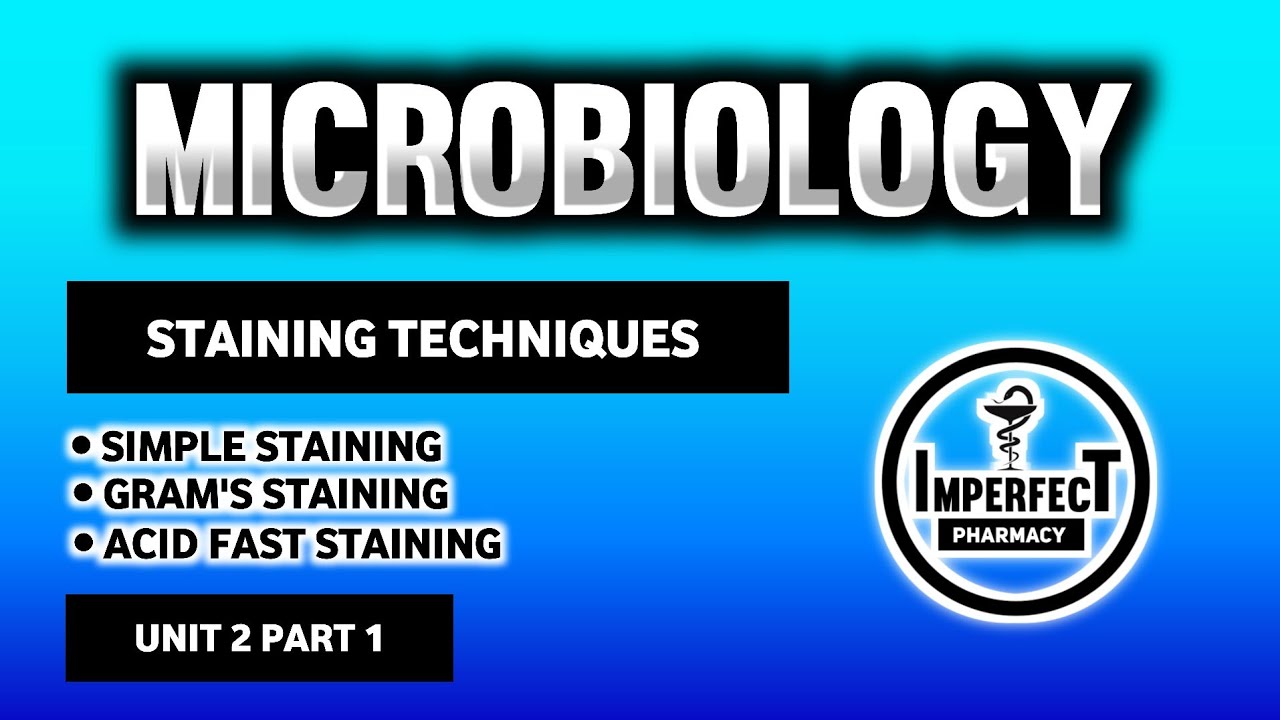 Staining Techniques In Microbiology | Simple Staining | Gram's Staining | Acid Fast Staining