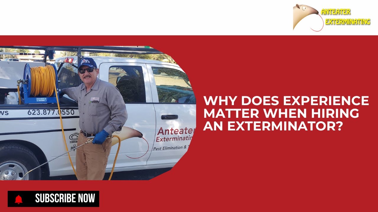 Why Does Experience Matter When Hiring an Exterminator?