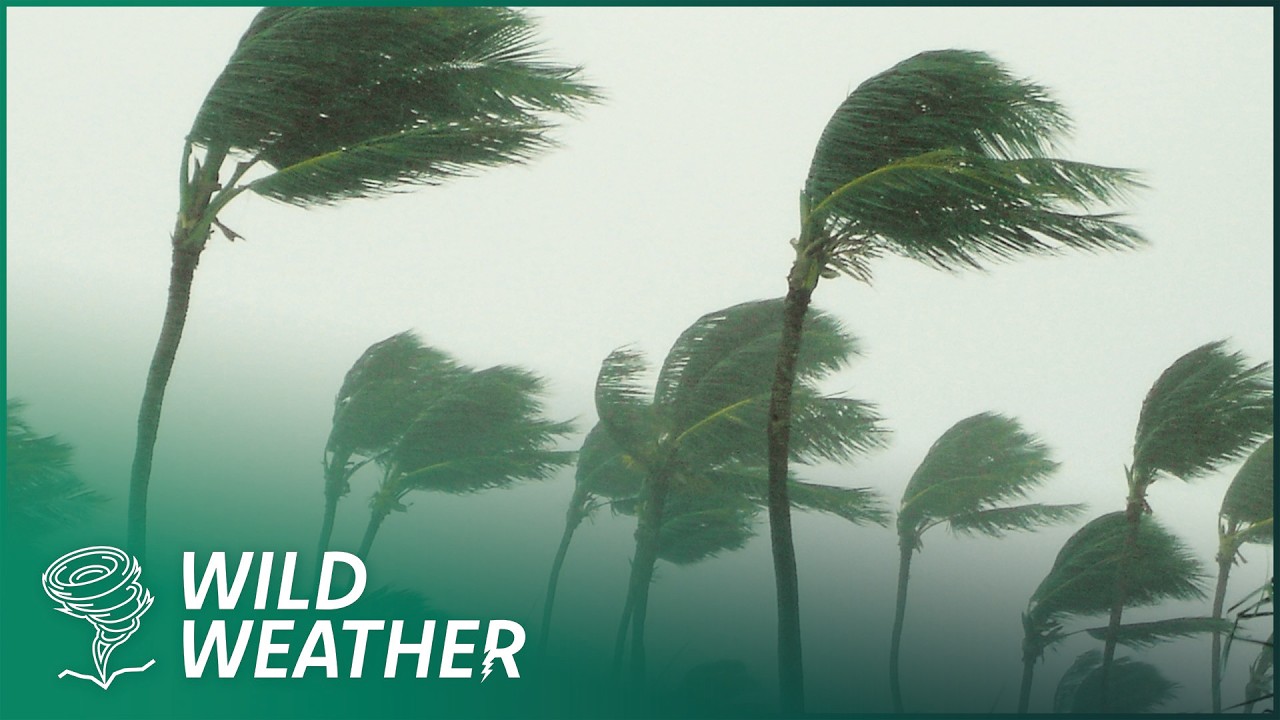The World's Deadliest Hurricanes And Cyclones