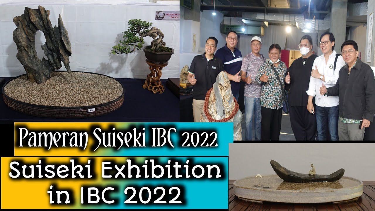 Pameran Suiseki di IBC 2022/Suiseki Exhibition in IBC 2022