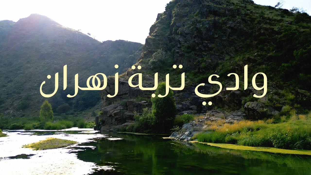 وادي تربة زهران بالباحة | 1445هـ