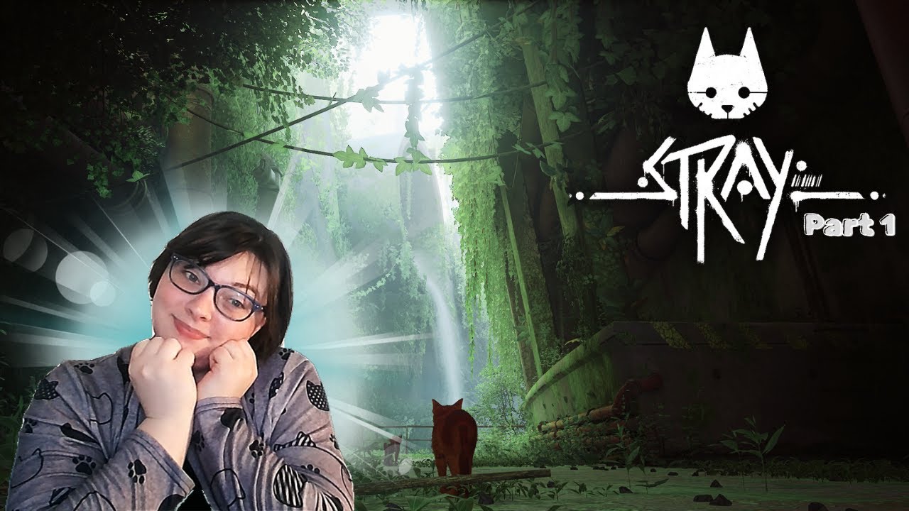 I WOULD DIE FOR THIS CAT | Stray Part 1