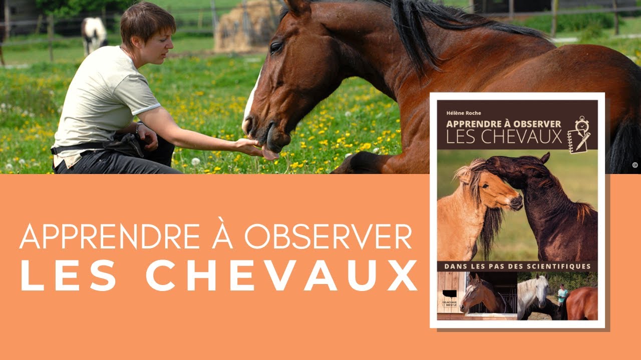 CONFÉRENCE HÉLÈNE ROCHE | Apprendre à observer les chevaux