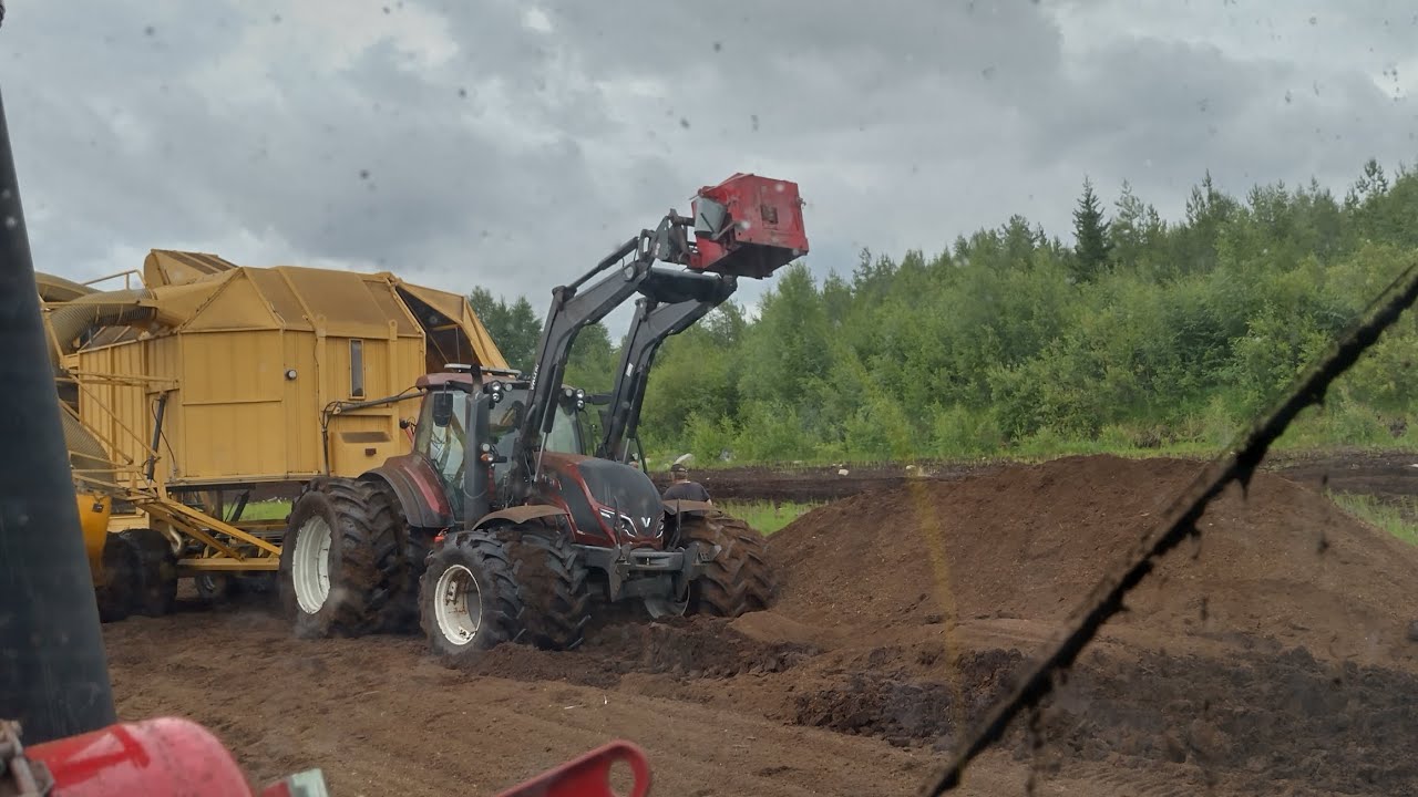 Kesää 2024